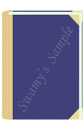 RPR-17/ TR-22A P.B. REGR.  300 FS. (LEATHER) cover