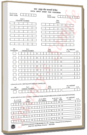 DATA INPUT  SHEET FOR VOUCHERS (100) cover